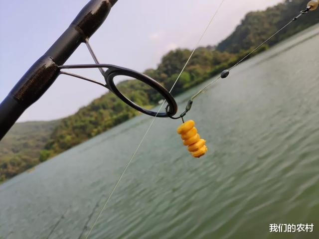 江苏省|玉米钓鱼技巧，从挂钩到上鱼一气呵成，这才是正确操作方法