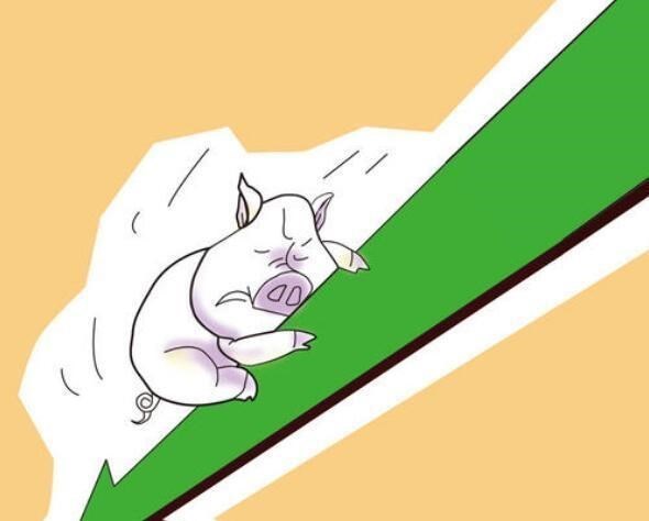 猪肉 “涨了和没涨一样”，今日生猪猪肉价格最新批发报价