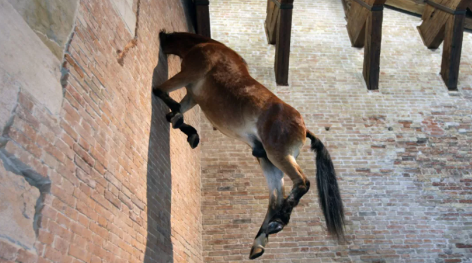 菩提|气坏美国、轰动波兰,三根香蕉卖到上百万,这位国宝级艺术家太牛了!