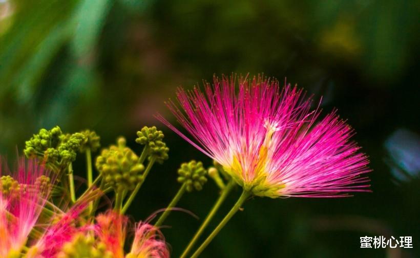 蜜桃心理|人与人之间,沟通究竟有多重要?永远不要忽略沟通的意义