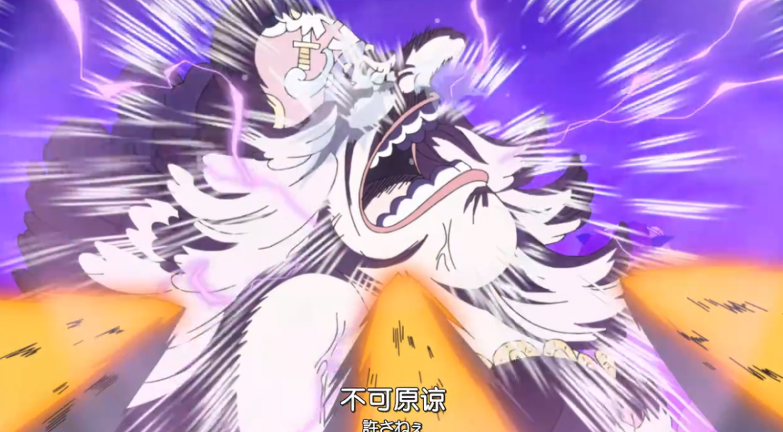 海贼王|海贼王:为什么大妈是个战坦,却要玩宠物当个精灵法师