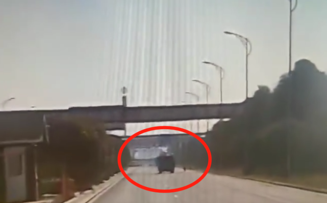 钱江视频 台州这两名“多管闲事”的司机，被中央媒体集体点赞！