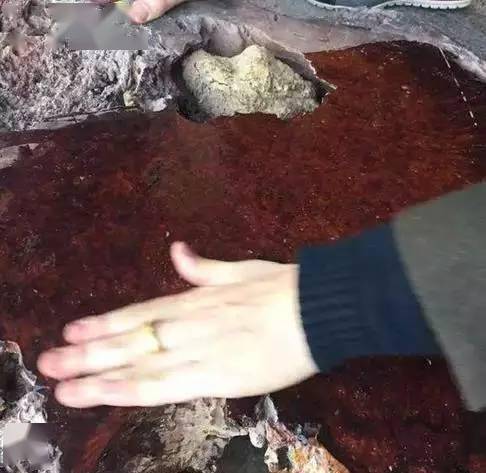 红木|有些红木，光看外表可不够！