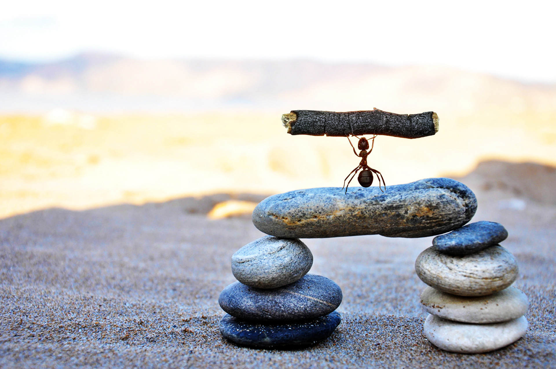 吴磊|我，35岁，年薪20万，成功摆脱失业困境，只因做对了这件事