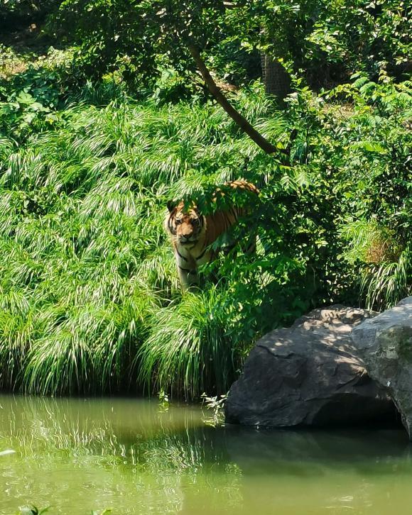 |除了钓不到鱼,真的什么都能钓到,你都钓起来过哪些奇葩?