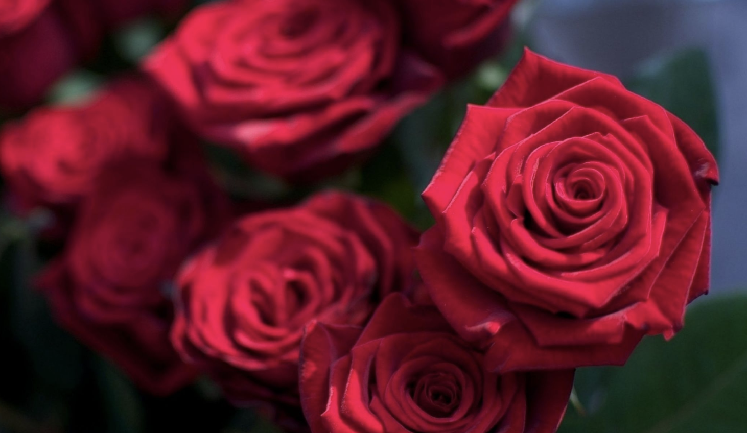 生肖夜梦|9月，兜兜转转，缘来还是你，3生肖旧情升温，思念更深，重修旧好