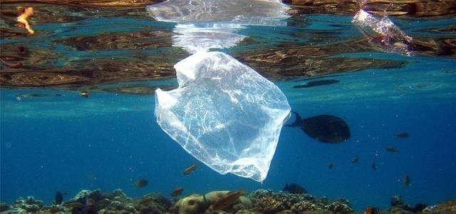 马里亚纳海沟 科学家在马里亚纳海沟深处，发现“最不愿意”看到的东西：塑料！