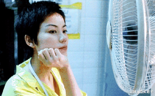 张柏芝|深挖王菲背景，她就是现实版赵敏，张柏芝油麻地出身怎么赢得了