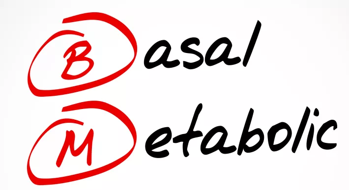 蛋白质|手把手教你如何提升热量消耗!瘦,就在眼前!