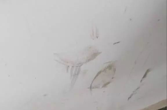装修时尚家|家里的白墙脏了怎么办？教你一招，还你干净墙面，简单又省钱！