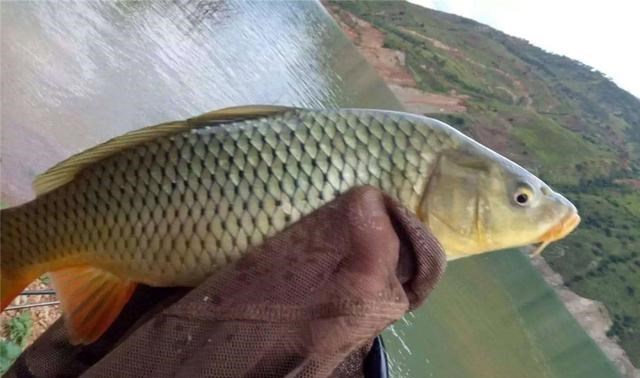 |外出钓鱼怎么找鱼窝，水里哪里鱼多？不靠水草就找坡！