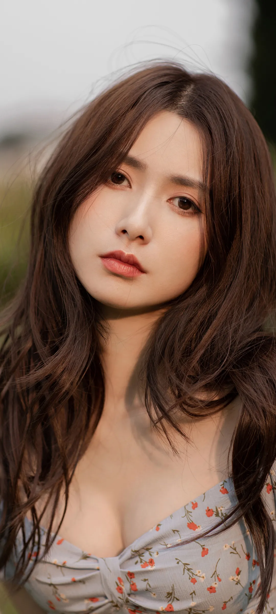 辰冉同学|壁纸太好看了