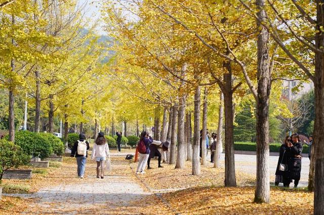 山西省|早读社丨在杭事业单位招聘近300人 有你合适的岗位吗