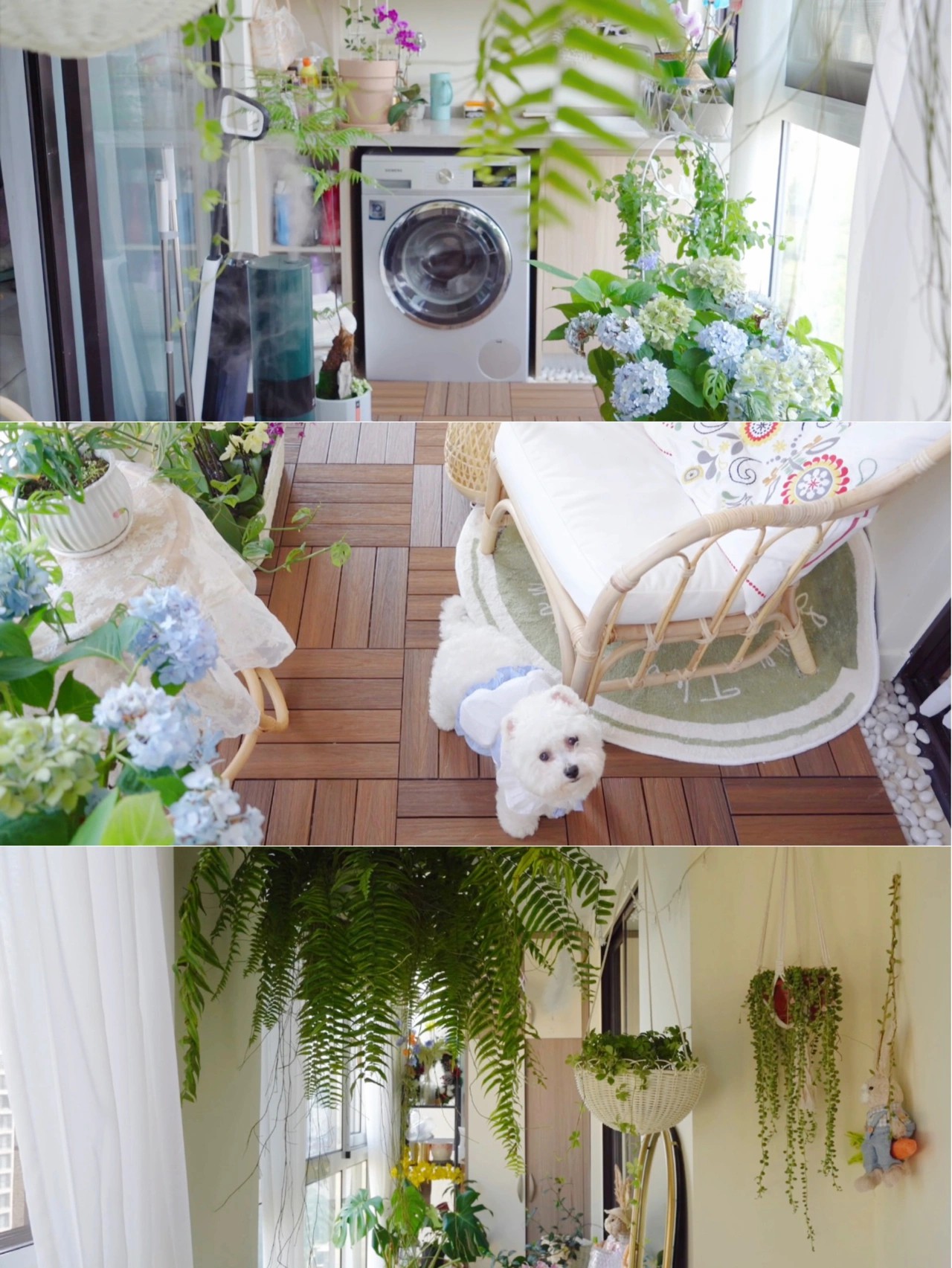 花5000块，把14㎡阳台变成一个小花园，小小的改变感受大大的幸福