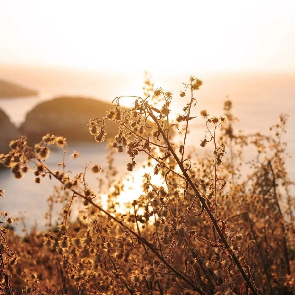 拐卖|孙海洋：被拐14年的亲生儿子找到了！网友：原来，结局远超想象