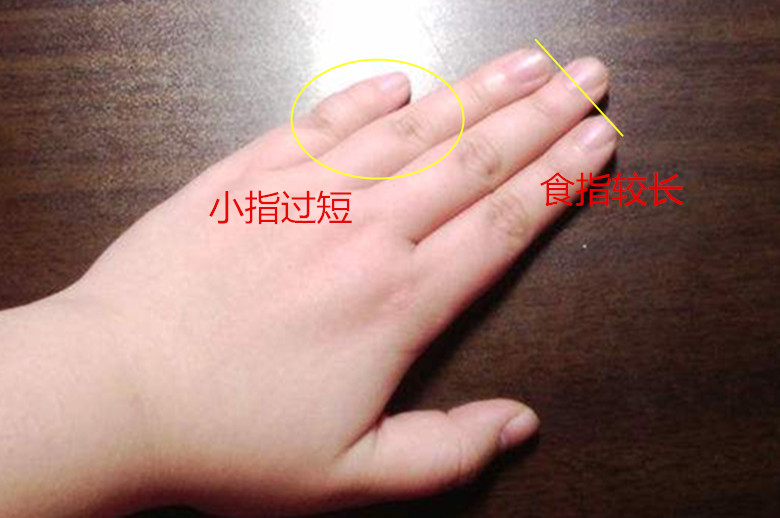 诚然情感之事|手相：食指长短所代表的意义