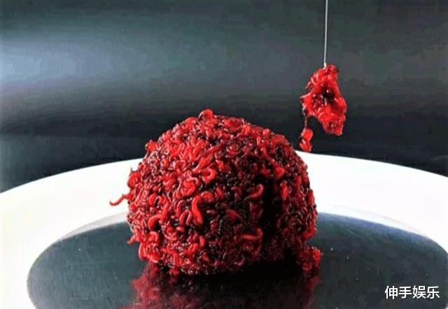 蝴蝶|红虫是寄生虫不能钓鱼？冬季这样用红虫作钓，渔获翻番