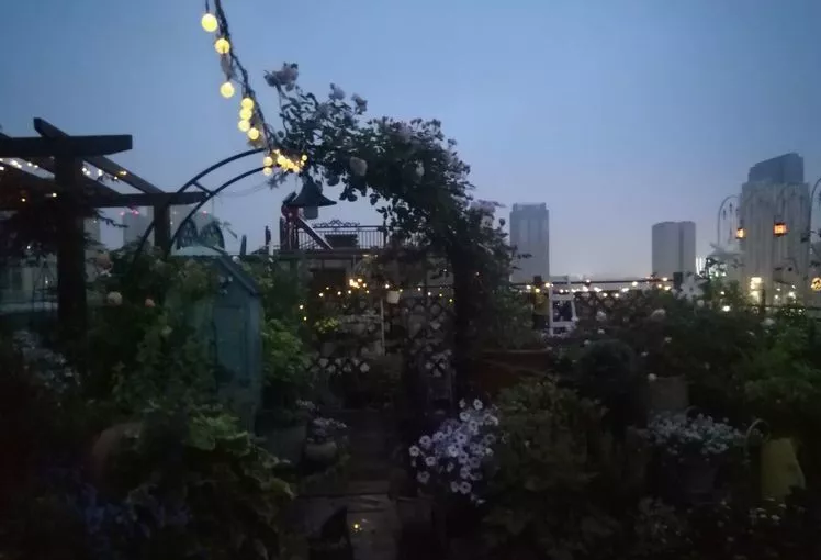 3年前，买了一栋顶楼带70㎡露台的房子，自己打造美美的休闲花园