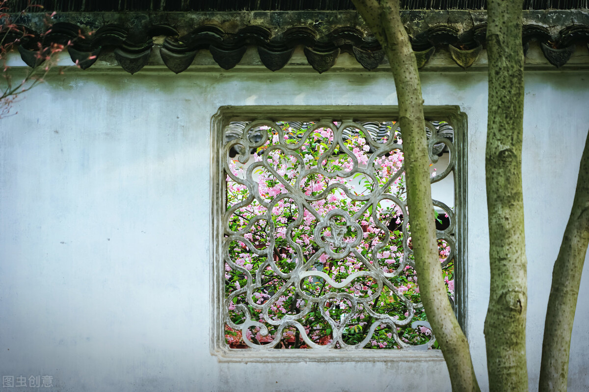 微雨落花,春盛花浓,时光流转处,且看风轻云淡