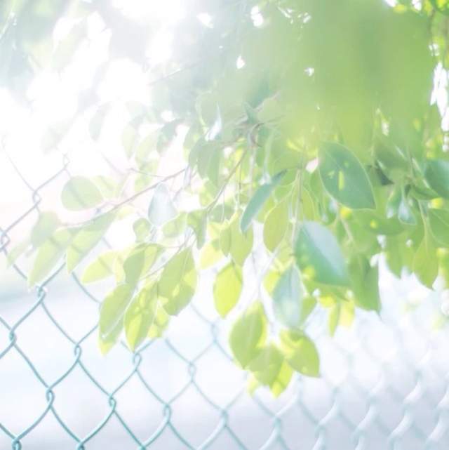 小姐姐 想了一天一夜，我才明白为什么武汉律师会被枪击