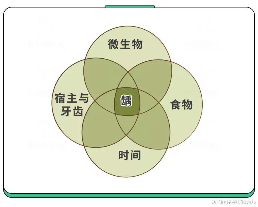 DrKing科学家庭育儿|5岁儿童蛀牙率70%！别只“控糖”了，这件事更要紧！