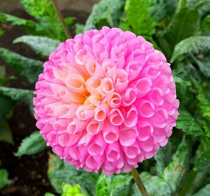  简述阴阳五行空间的产生及其带来的影响