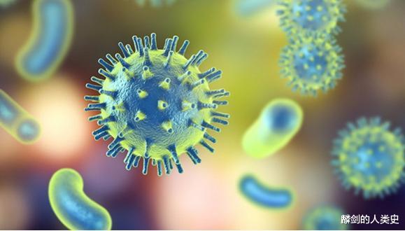 中国创新 【地球生物全系列——真菌篇】真菌界—新美鞭菌门