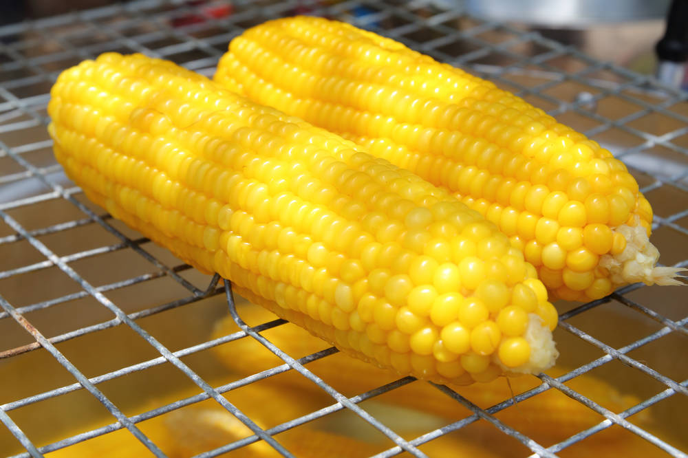 玉米|鲜玉米发酵方法有什么?