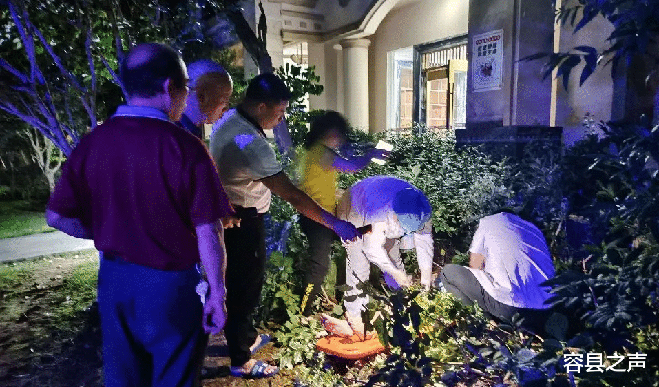 容县之声 广西一小区内,女子与丈夫吵架后从6楼坠下