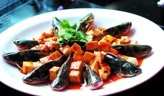 朝鲜|黄颡鱼刺一下,手指却被截肢,黄辣丁这么厉害么?其实还怪自己