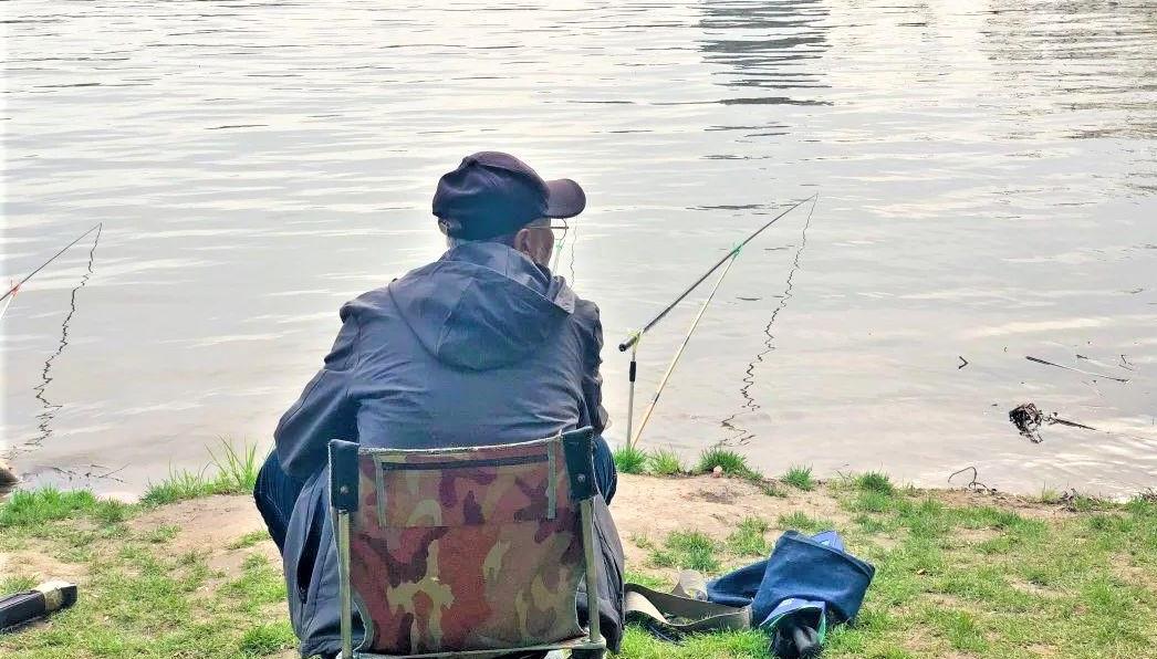 饵料|野钓时鱼停口往往是这些原因所导致，这样调整状况，没口变有口