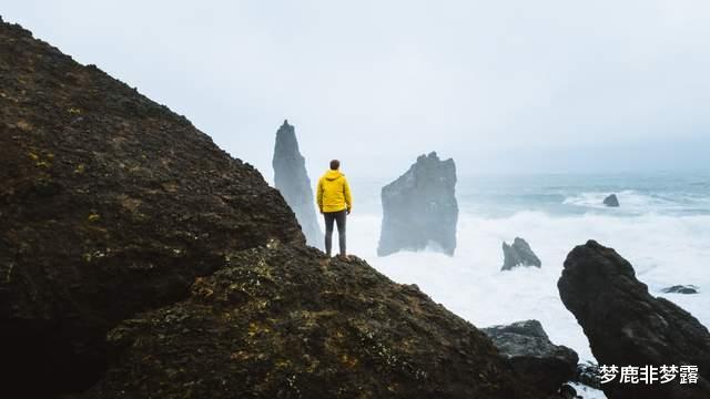 梦鹿非梦露|不可忽视的感情真相：恋爱要严，婚姻要宽