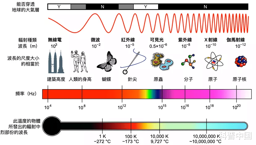 香蕉|吃了几十年才知道,香蕉居然有辐射!网友:经常吃还有救吗?