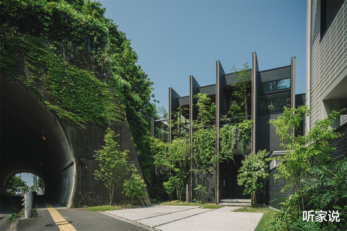 听家说|日本34岁单亲妈妈自律生活:独自抚养俩儿子,把家收拾得一尘不染