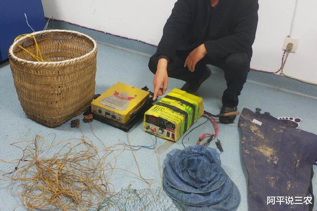 捕鱼|农村电鱼的注意：捕鱼新规来了，“鱼政亮剑”计划出台