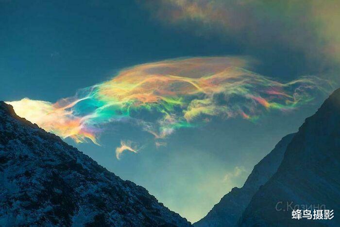 北极 35张罕见的生物照片：图3老鼠是用金丝做的吗？猫都下不去嘴