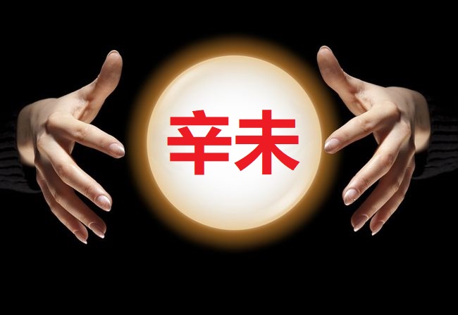 丙丁先生|辛未日柱简析