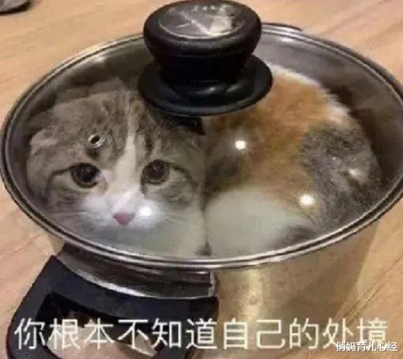 俏妈育儿心经|大学毕业后，“二本生”发现，有些竞争，可能在高考时就结束了