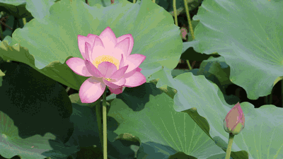 汉江 陕西一个十全十美的小城，山美水美惹人醉，这才是五一该去的地方