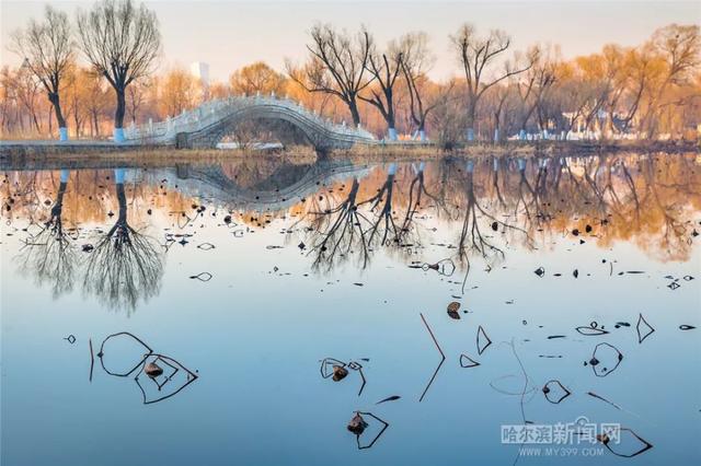 哈尔滨新闻网 周日气温升天气晴，珍惜这一天｜下周又降温#超多美图的天气预报