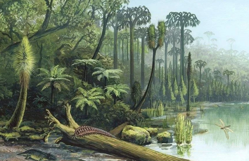 泥盆纪|关于石炭纪时期，地球的地质变化以及动植物进化