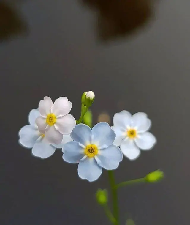 情感语录生活感悟|暖心正能量的早安句子，选一句送给自己！
