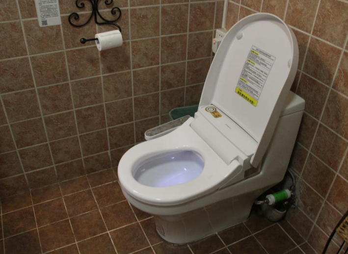 这3种马桶再便宜都不能买,半个月堵一回,谁买谁吃亏!