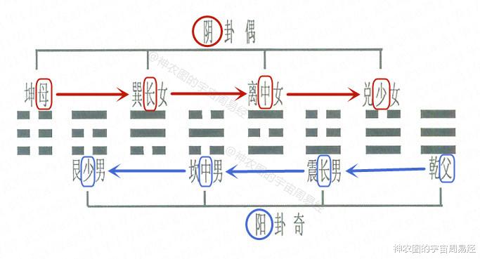 量子纠缠?平行宇宙?发现周易的另一半(周易神农图传奇12)