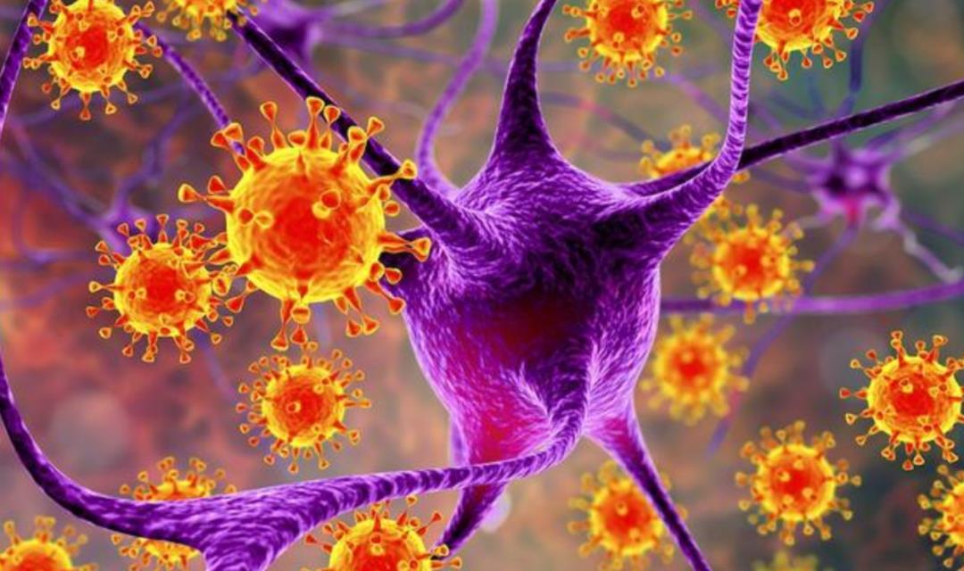 情微说 为什么人类至今没有把火星土壤带回地球？是不敢，还是带不了？