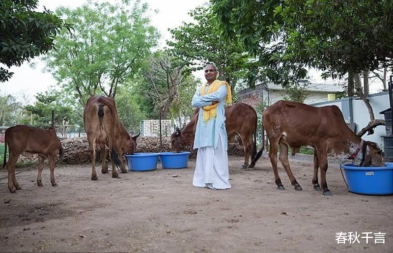 青山湖 印度富豪抛弃妻子和两个孩子，花18万跟母牛结婚，多疯狂才能这样