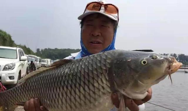 |鲤鱼无论在哪钓，有这样一套用漂方法在手，根本不愁鱼获不够好