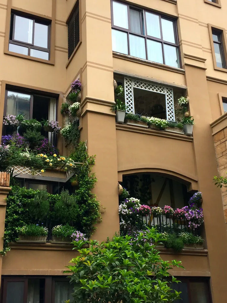 30㎡阳台改造的植物花园,网友直呼:这是我见过最美的阳台花园