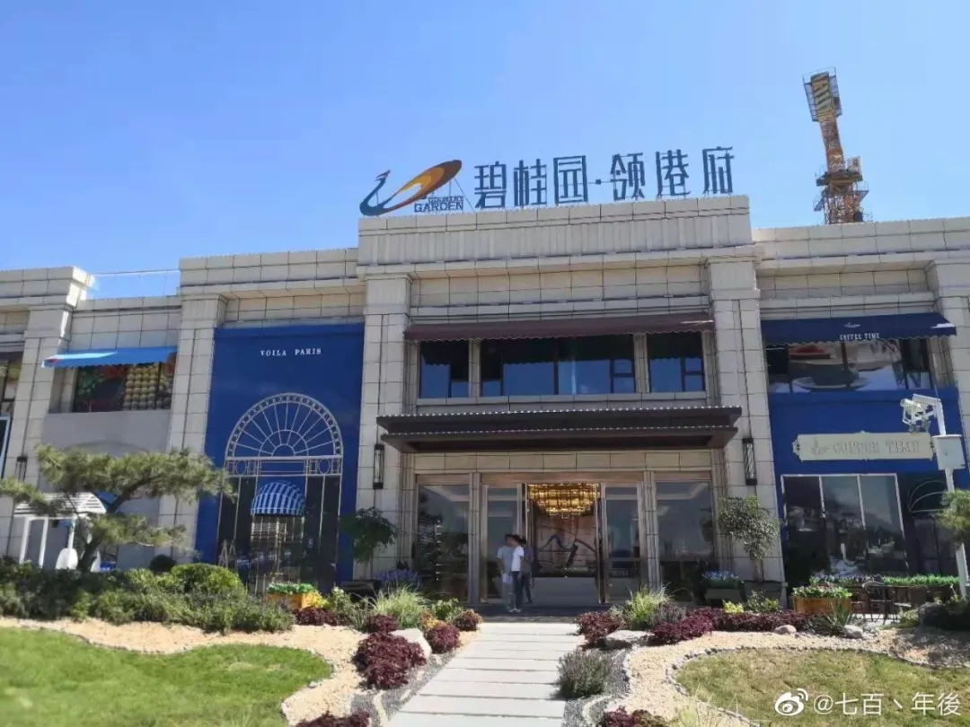 淄博|碧桂园首秀天津临港，操盘将近“4年”交付了“一片荒地”