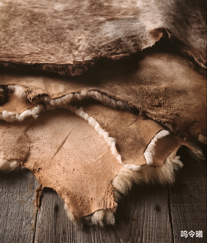 呜令曦 奇闻诡事:商队夜宿破庙,顺手烧了块木板,竟有人因此丢了性命